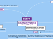 CRISPR - Mind Map