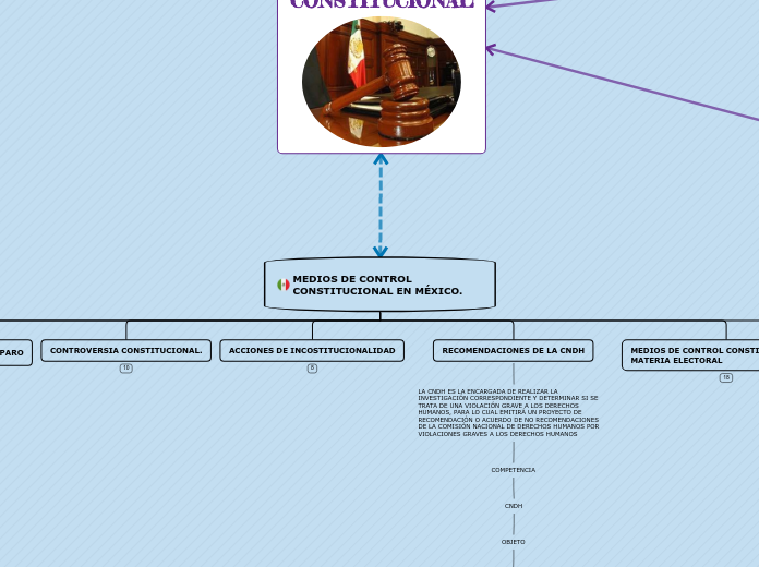 MEDIOS DE CONTROL DE CONSTITUCIONAL