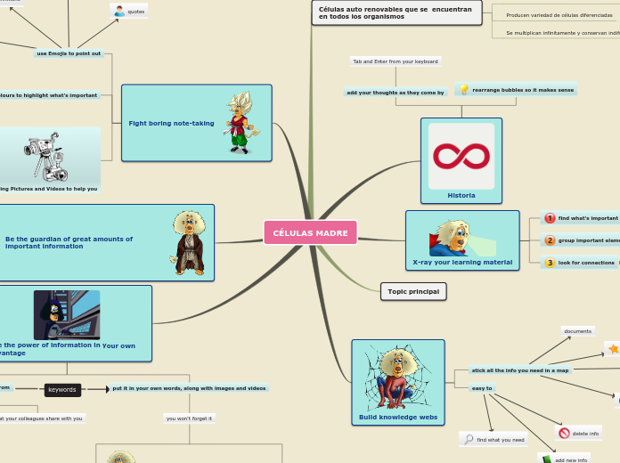 Sample Mind Map