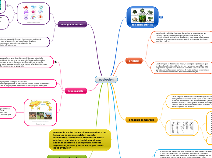 evolucion - Mapa Mental