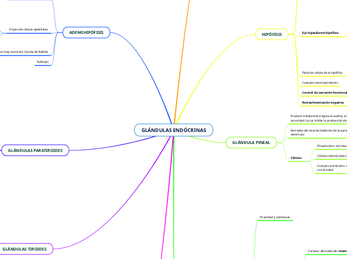 GLÁNDULAS ENDÓCRINAS - Mapa Mental