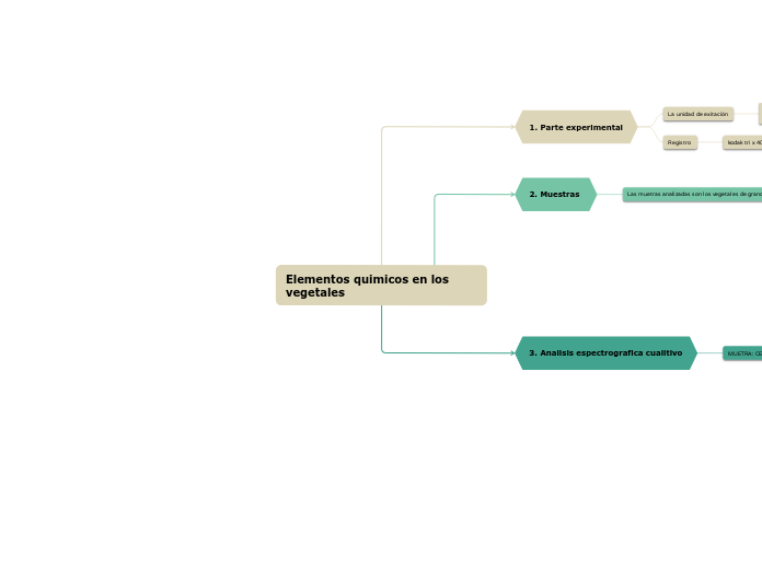 Elementos quimicos en los vegetales  - Mapa Mental