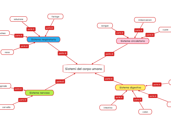 Sistemi del corpo umano - Mappa Mentale