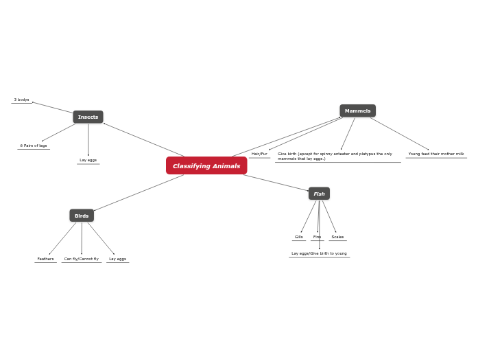 Classifying Animals Classifying Animals
