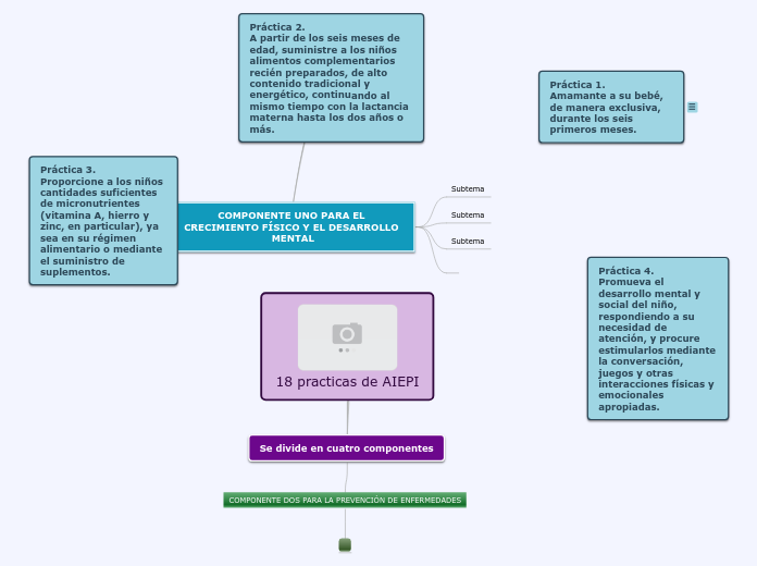 18 practicas de AIEPI - Mapa Mental