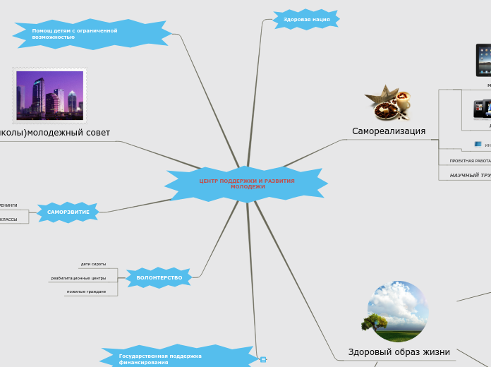 ЦЕНТР ПОДДЕРЖКИ И РАЗВИТИЯ МОЛОД...- Мыслительная карта