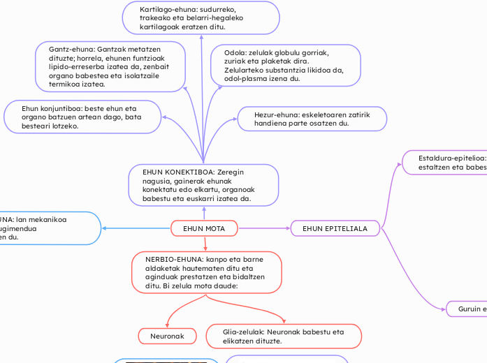 EHUN MOTA - Mind Map