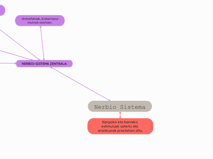 Nerbio Sistema - Mind Map