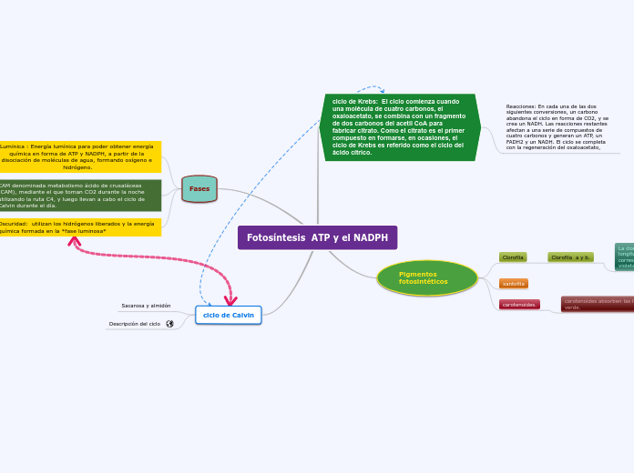 Fotosíntesis  ATP y el NADPH - Mapa Mental