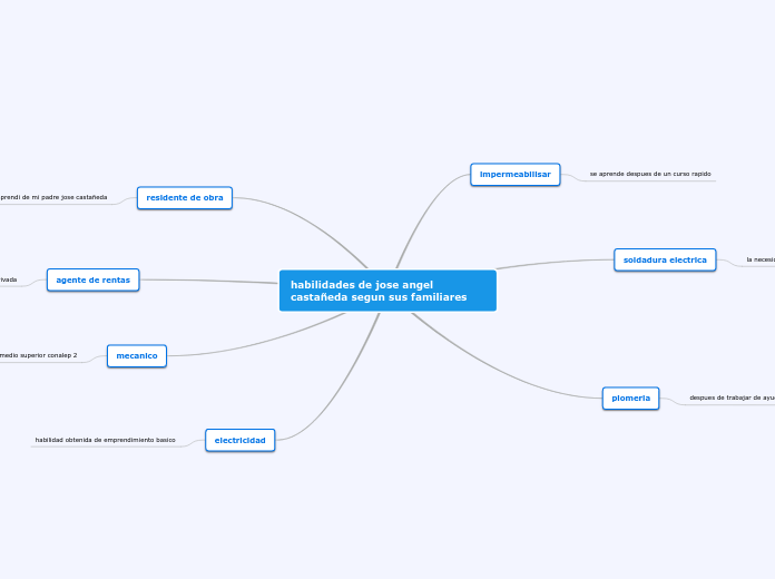 habilidades de jose angel castañeda seg...- Mapa Mental