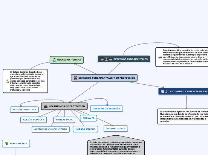 DERECHOS FUNDAMENTALES Y SU PROTECCIÓN - Mapa Mental