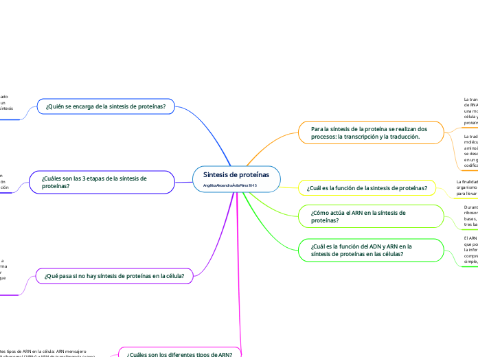 Sintesis de proteínas
Angélica Alexandr...- Mapa Mental