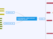 SUMBANGAN &amp; PENCAPAIAN TAMADUN ISLAM - Mind Map