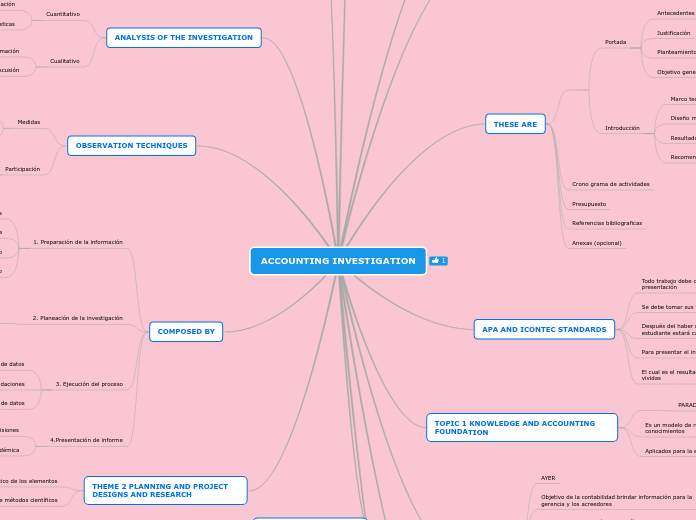 ACCOUNTING INVESTIGATION - Mapa Mental