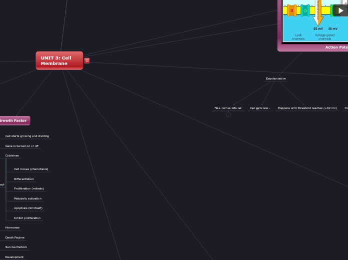 Final Exam Final Exam