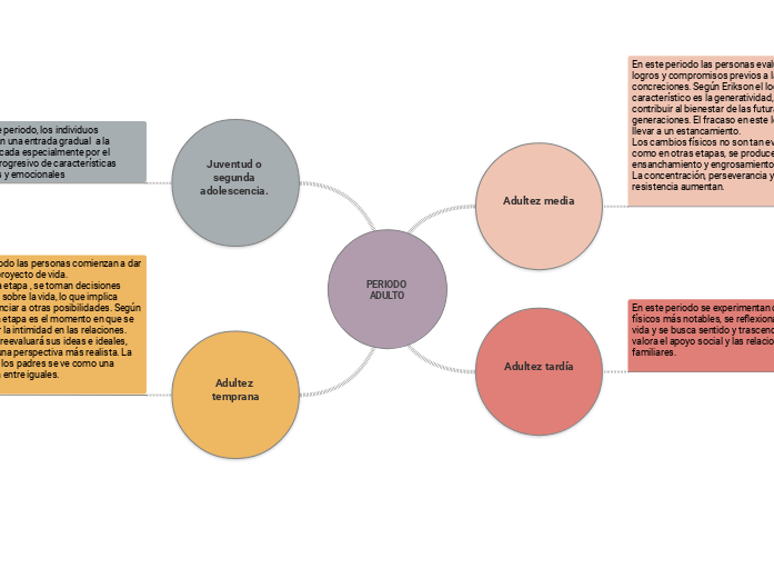 PERIODO ADULTO - Mapa Mental