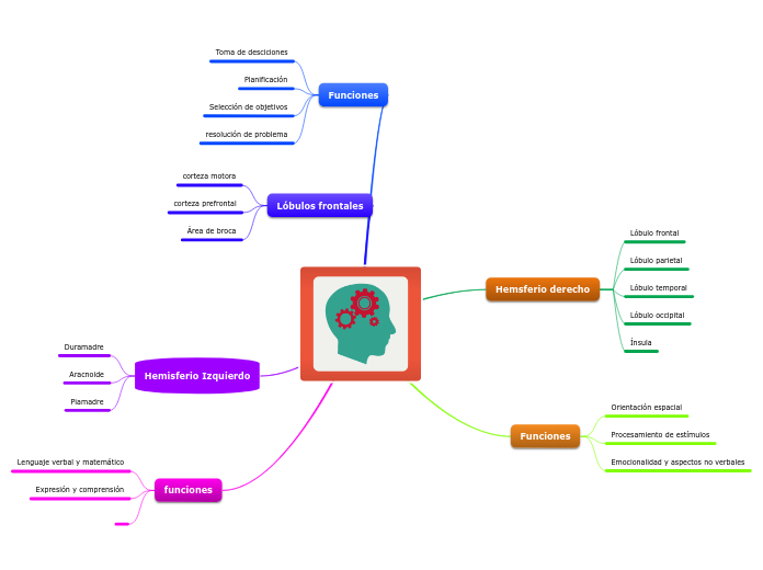 Hemisferio derecho - Mapa Mental