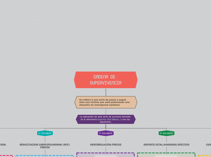 CADENA DE SUPERVIVENCIA - Mapa Mental