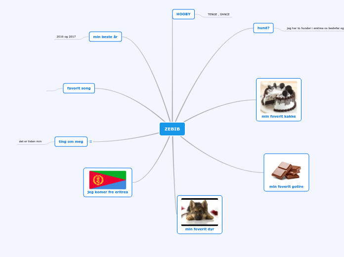 ZEBIB - Mindmap