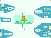 El Sistema Sensorial