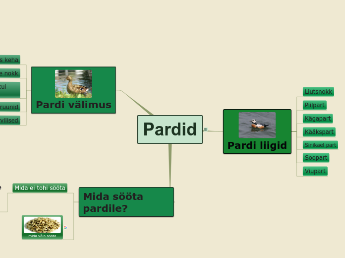 Pardid - Mind Map