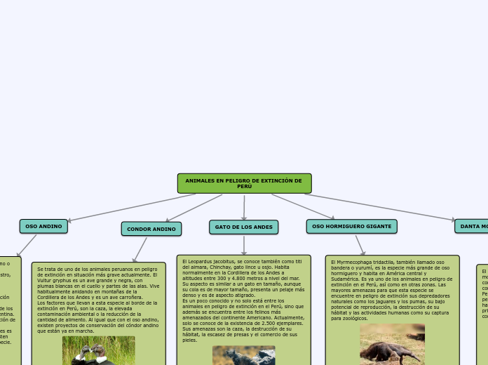 ANIMALES EN PELIGRO DE EXTINCIÓN DE PER...- Mapa Mental