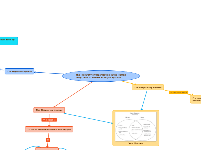 SNC2D0 G Biology Unit Summative Concept Map May 2022