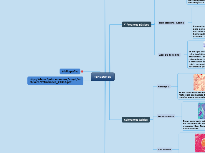 TINCIONES - Mapa Mental