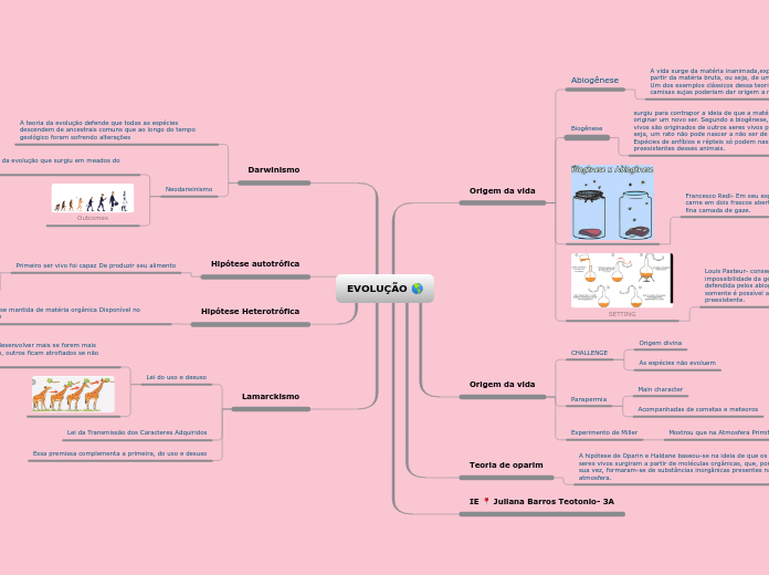 EVOLUÇÃO 🌎 - Mapa Mental