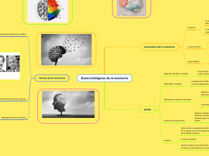 Bases biológicas de la memoria - Mapa Mental