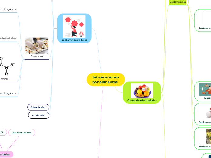 Intoxicaciones por alimentos - Mapa Mental