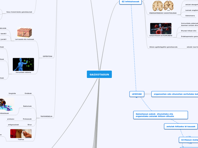 GAIXOTASUN - Mind Map