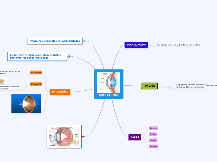 CRISTALINO - Mapa Mental