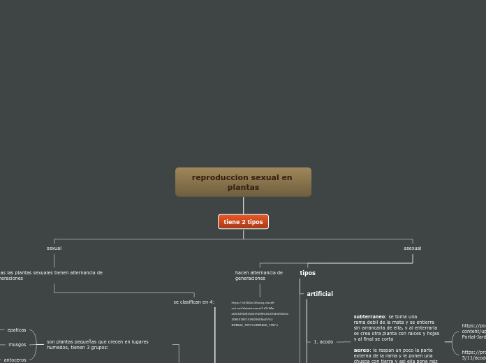 reproduccion sexual en plantas - Mapa Mental