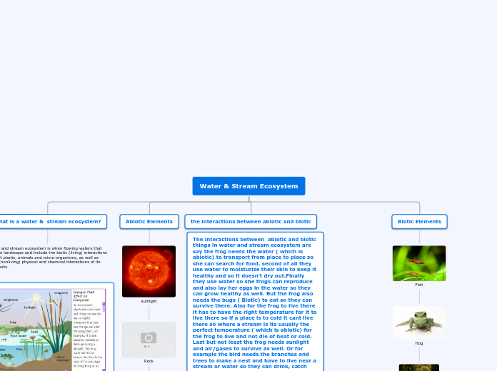 Water &amp; Stream Ecosystem - Mind Map