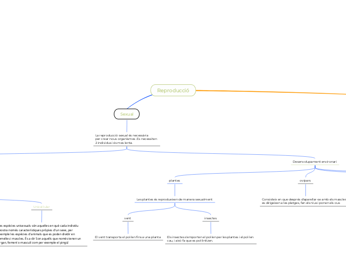 Reproducció - Mapa Mental