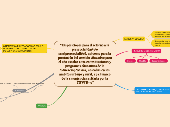 “Disposiciones para el retorno a la pre...- Mapa Mental