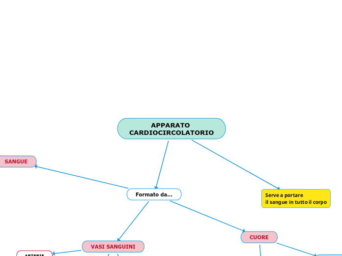 APPARATO CARDIOCIRCOLATORIO - Mappa Mentale