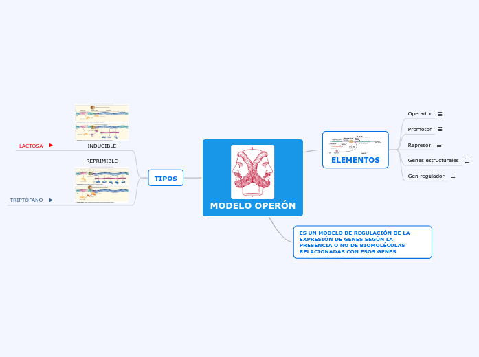 MODELO OPERÓN - Mapa Mental