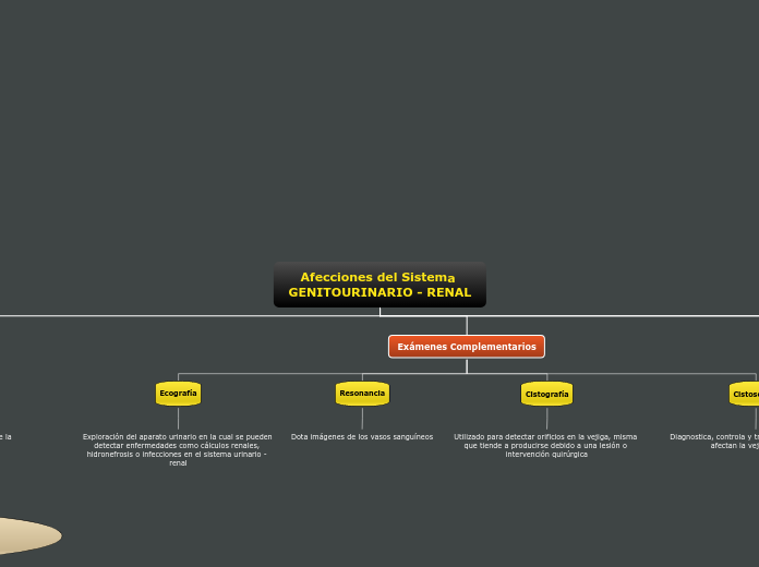 Afecciones del Sistema GENITOURINARIO - RENAL