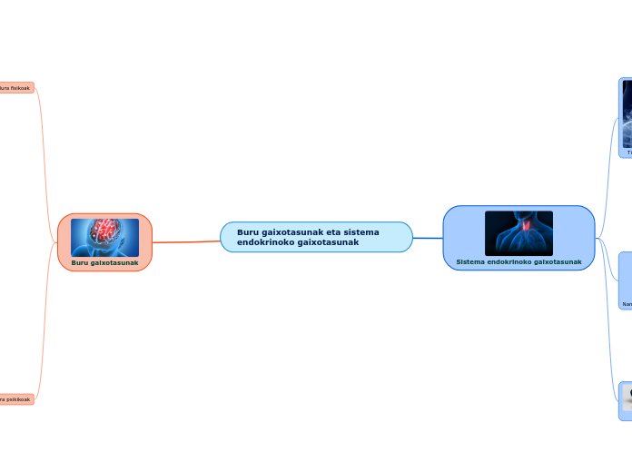 Buru gaixotasunak eta sistema endokrinoko ...- Mind Map