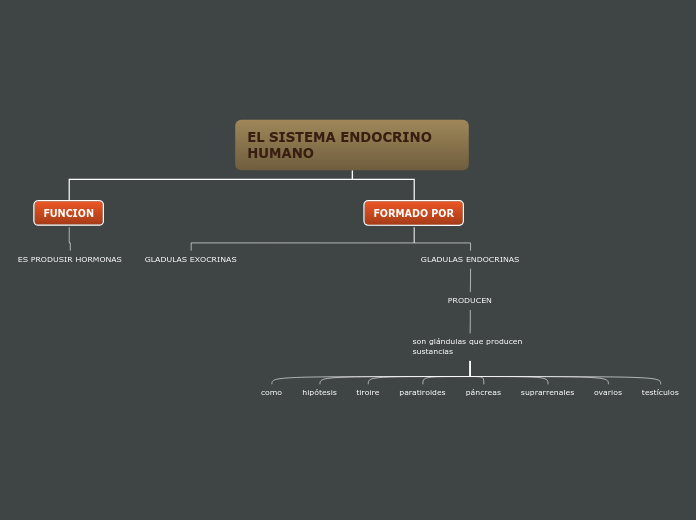 EL SISTEMA ENDOCRINO HUMANO