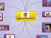 Caracteristicas Del Rol Docente en EVA - Mapa Mental