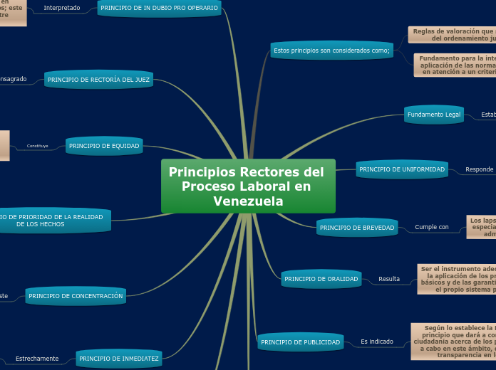 Principios Rectores del Proceso Laboral en Venezuela