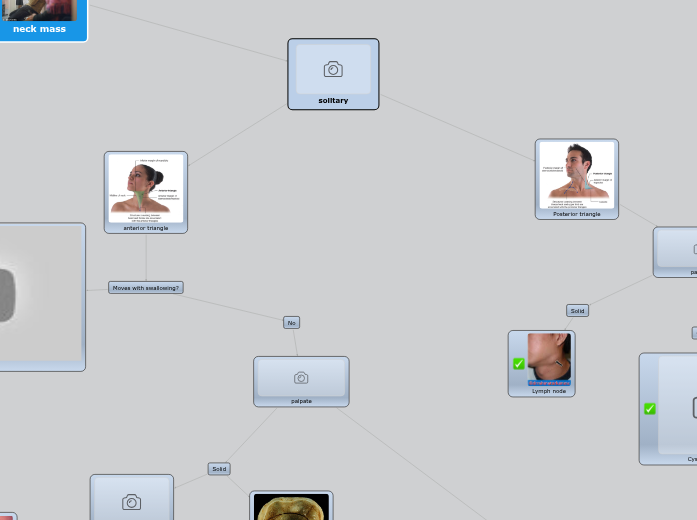 neck mass neck mass