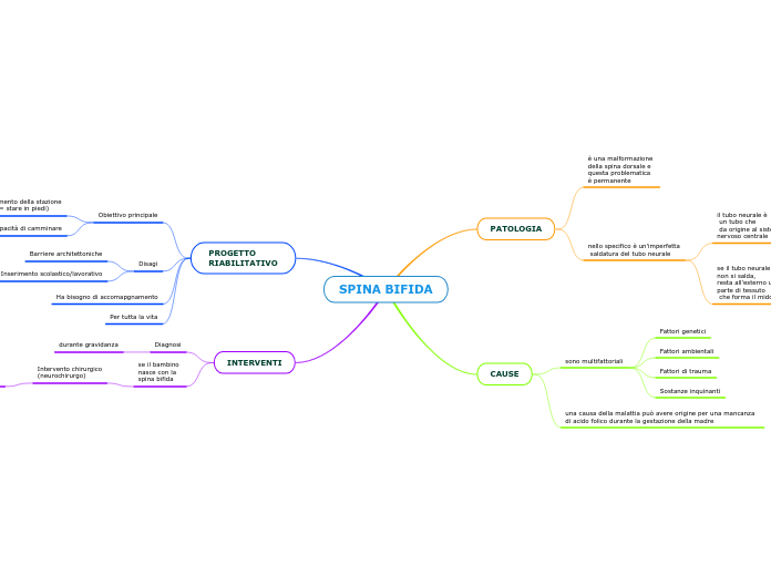 SPINA BIFIDA - Mappa Mentale