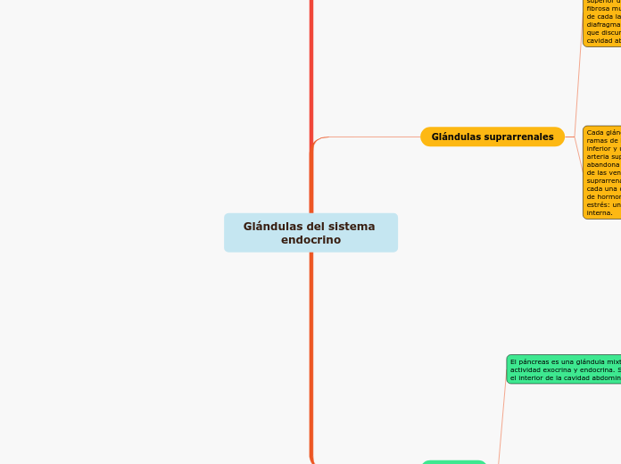 Glándulas del sistema endocrino