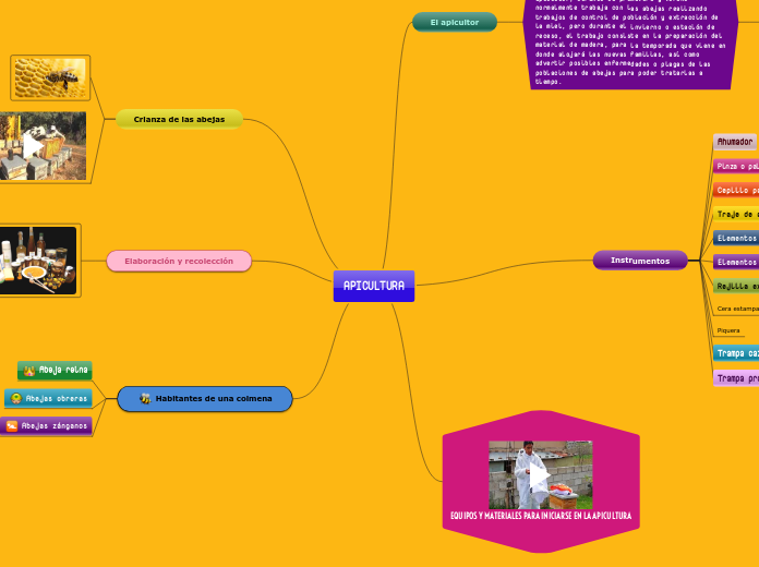APICULTURA - Mapa Mental