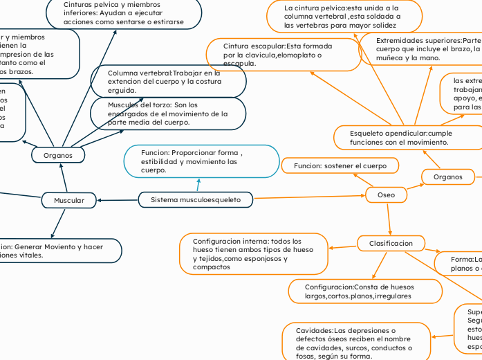 Sistema musculoesqueleto - Mapa Mental