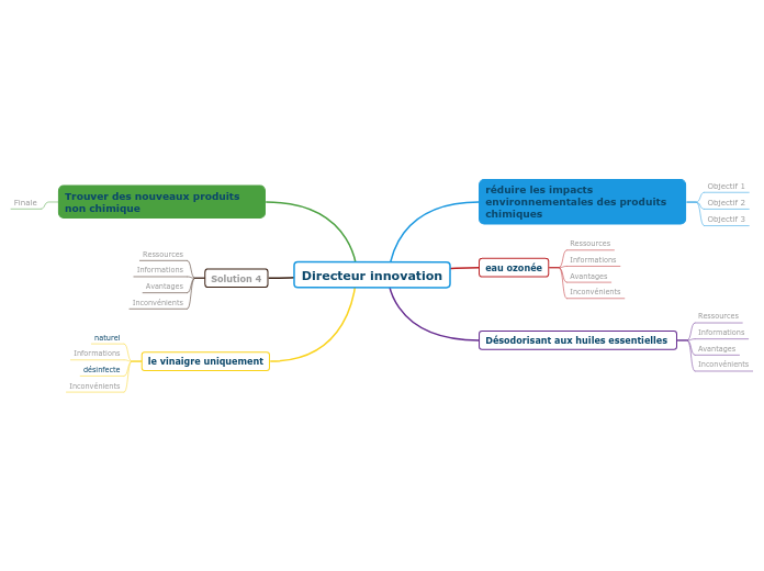 Directeur innovation - Carte Mentale